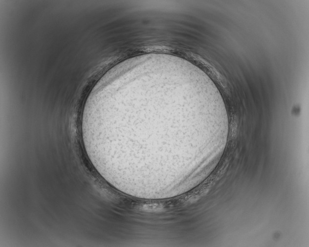 X0000116260353201001110958