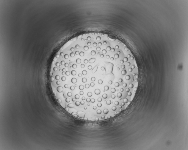 X0000116260354201001110958