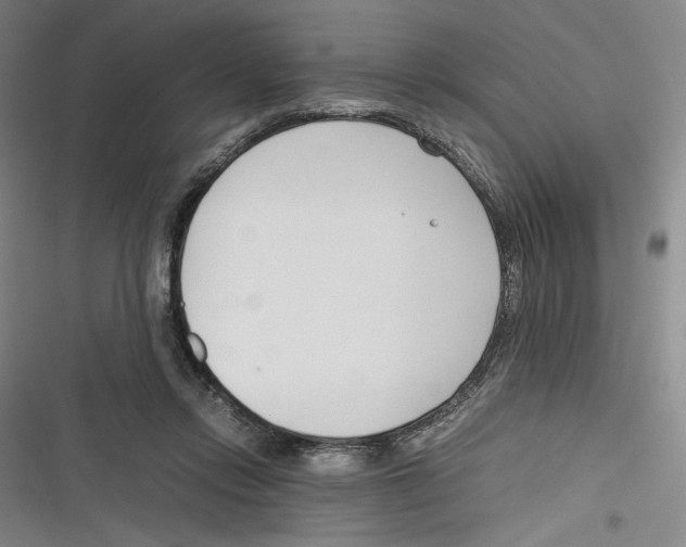 X0000116260358201001110958