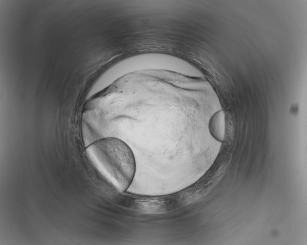 X0000116260359201001110958