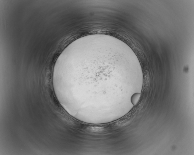 X0000116260361201001110958