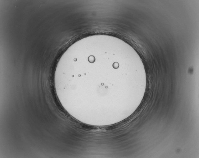 X0000116260362201001110958