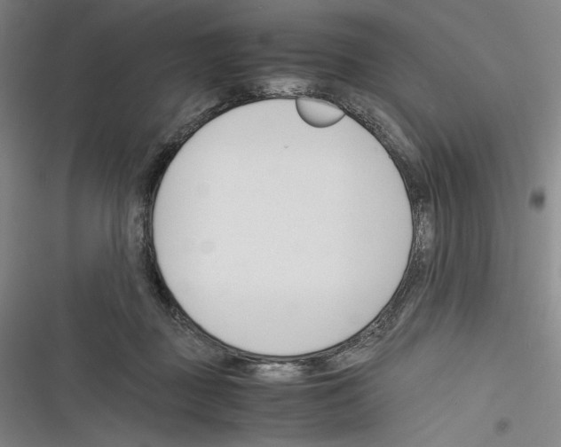 X0000116260363201001110958