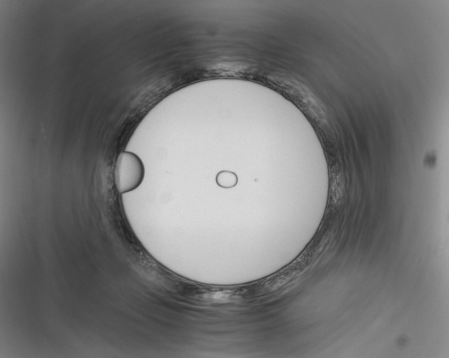 X0000116260365201001110958