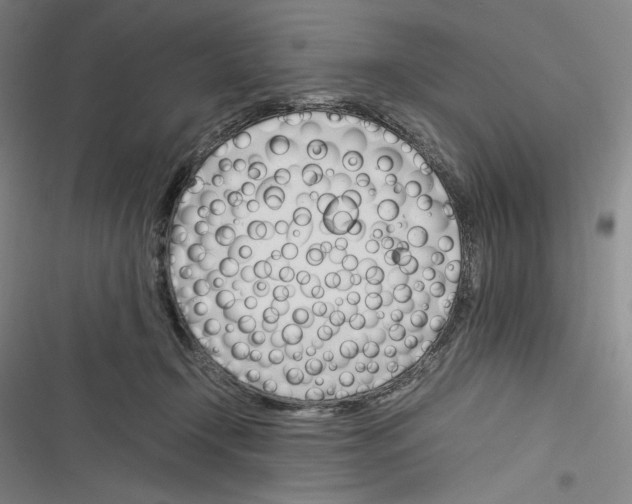 X0000116260366201001110958