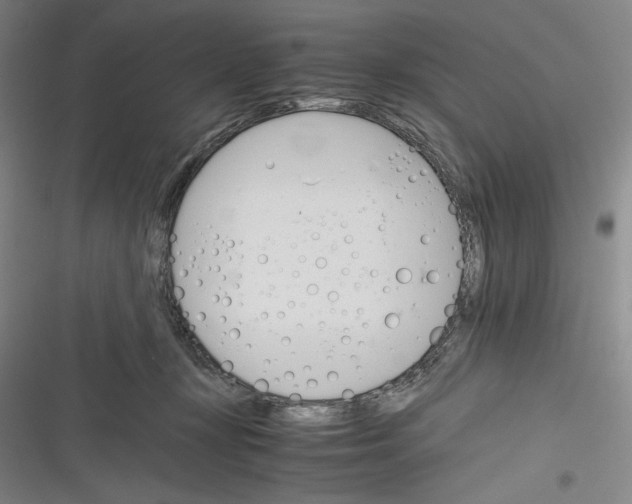 X0000116260367201001110958