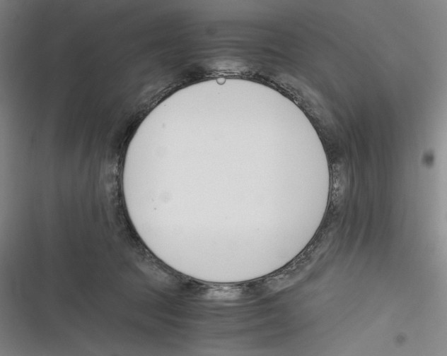 X0000116260369201001110958