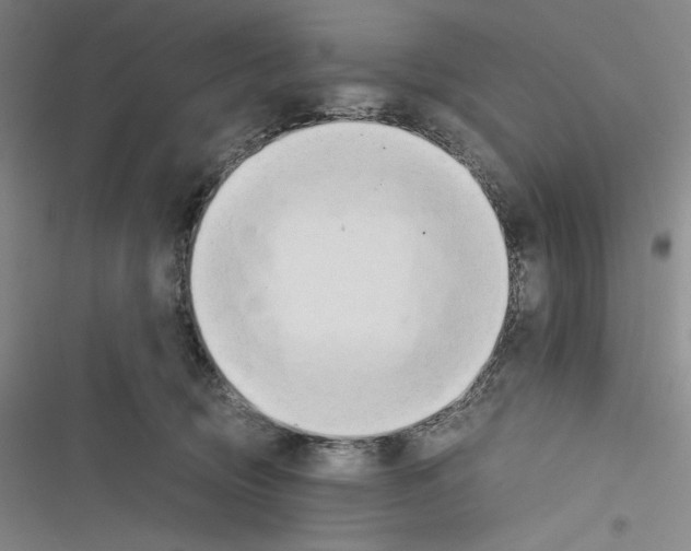 X0000116260370201001110958