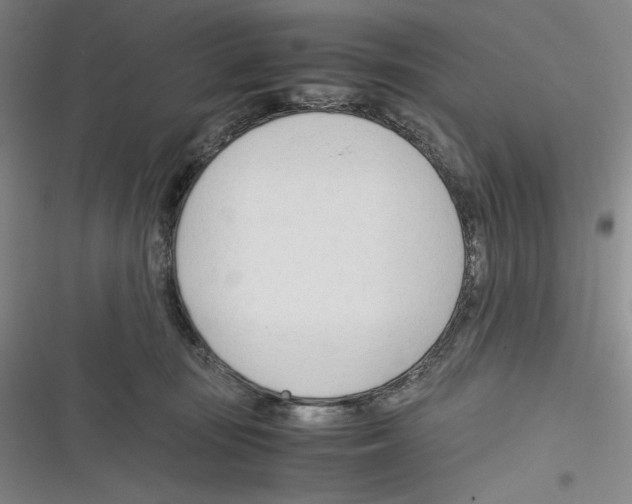 X0000116260371201001110958