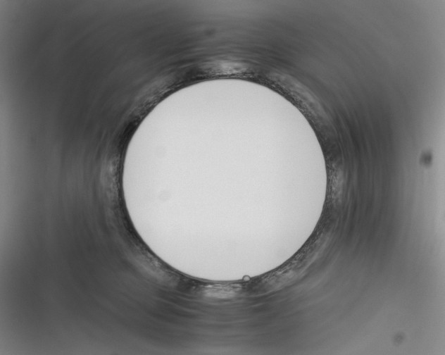 X0000116260373201001110958