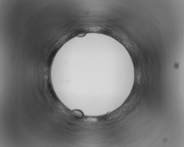 X0000116260374201001110958