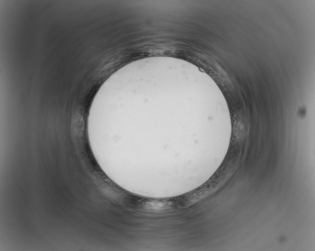 X0000116260375201001110958
