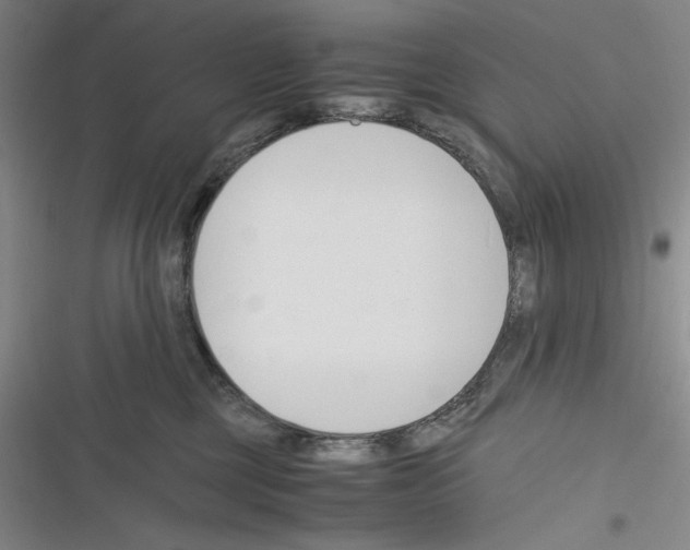 X0000116260377201001110958