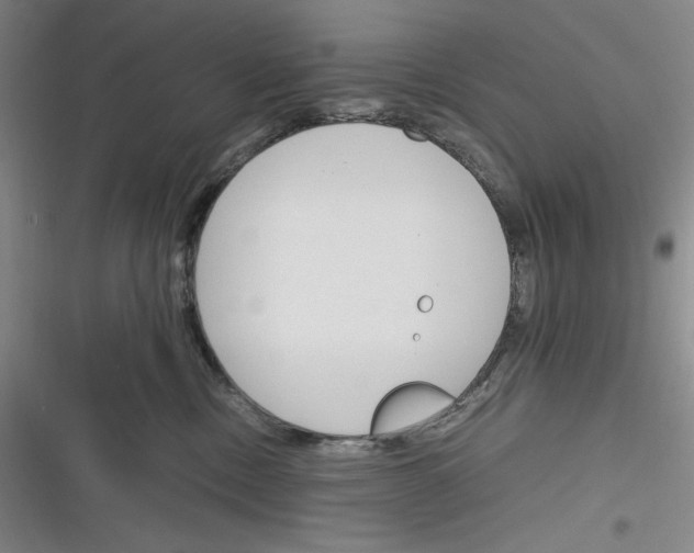 X0000116260378201001110958