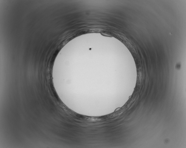 X0000116260379201001110958