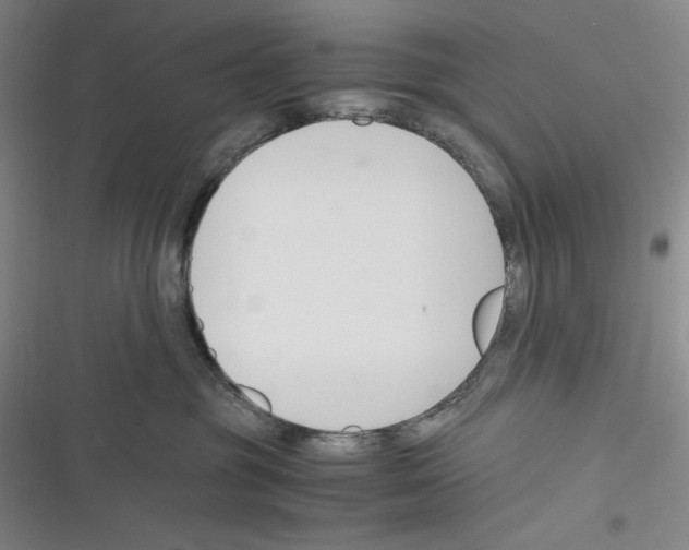 X0000116260381201001110958