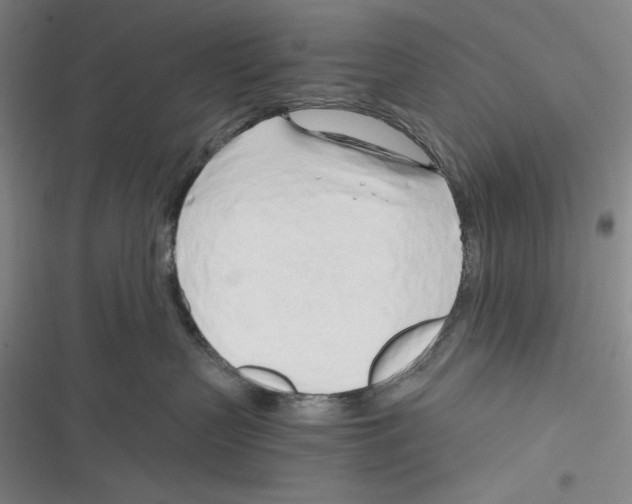 X0000116260383201001110958