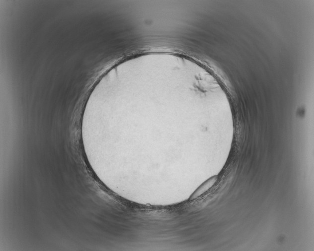 X0000116260385201001110958