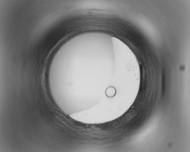 X0000116260387201001110958