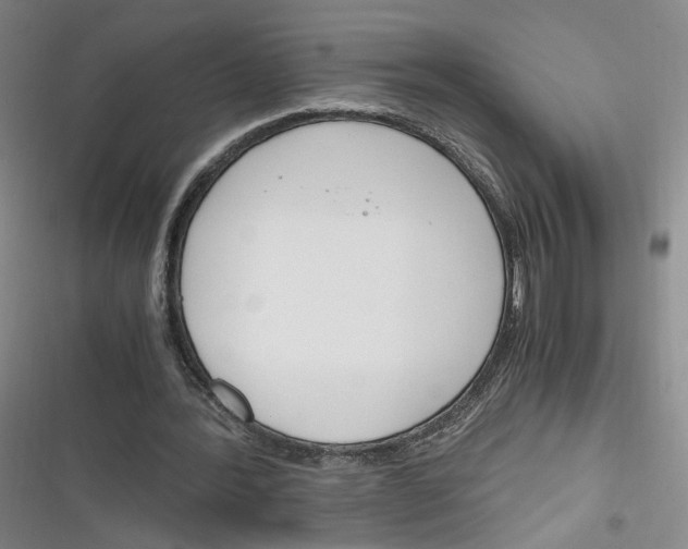 X0000116260388201001110958
