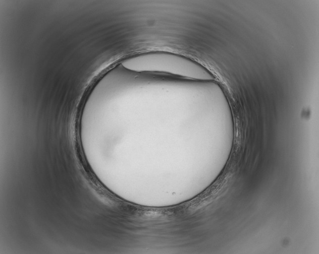 X0000116260390201001110958