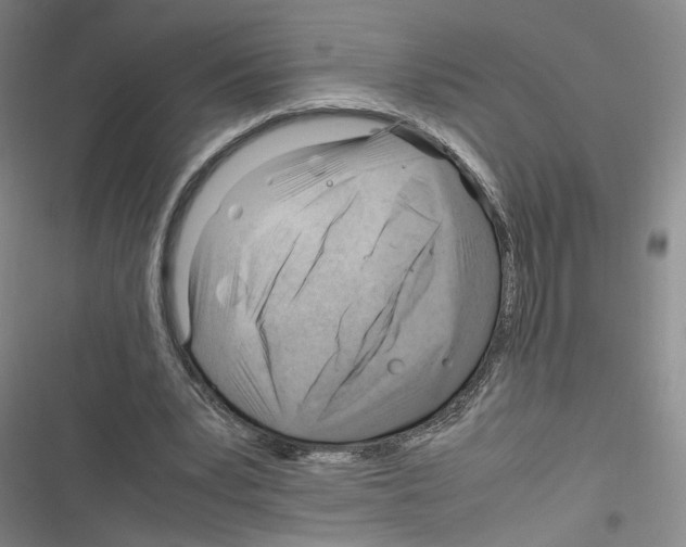 X0000116260391201001110958