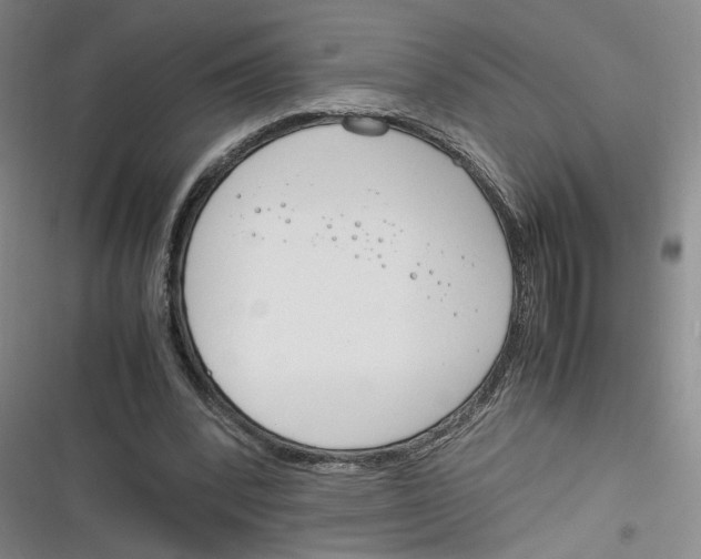 X0000116260392201001110958