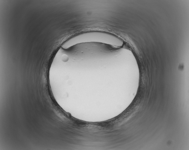X0000116260393201001110958