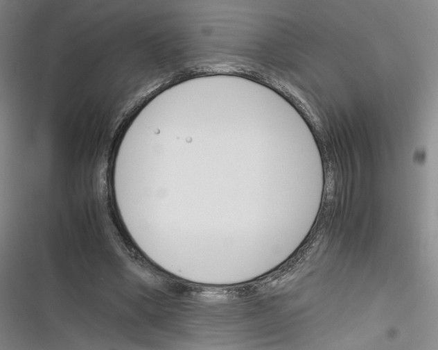 X0000116260394201001110958