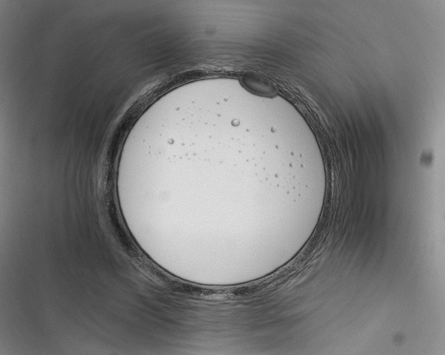 X0000116260396201001110958