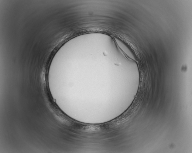 X0000116260398201001110958