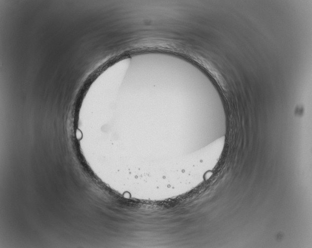 X0000116260399201001110958