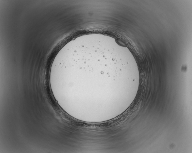 X0000116260400201001110958