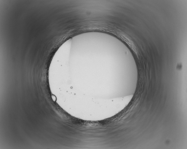 X0000116260401201001110958