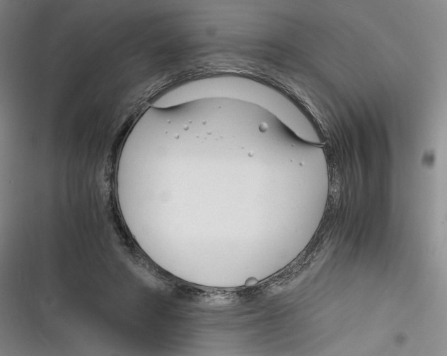 X0000116260402201001110958