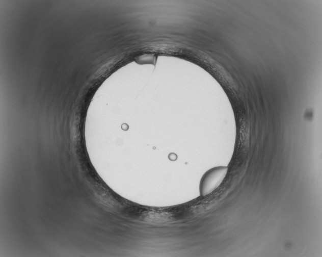 X0000116260403201001110958