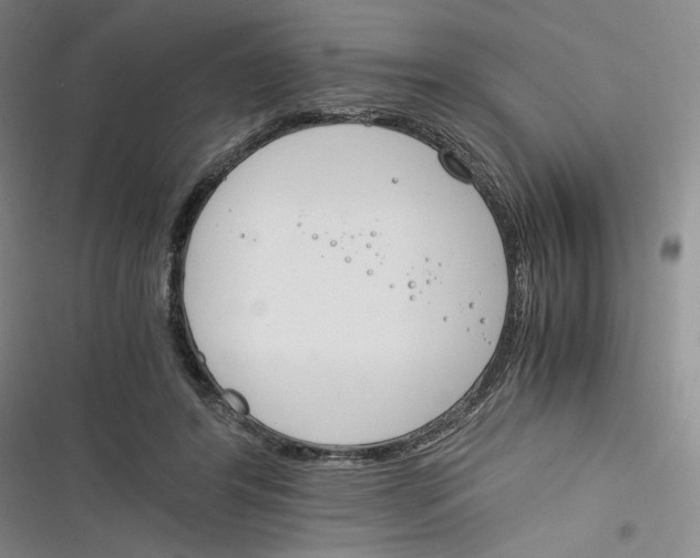 X0000116260404201001110958