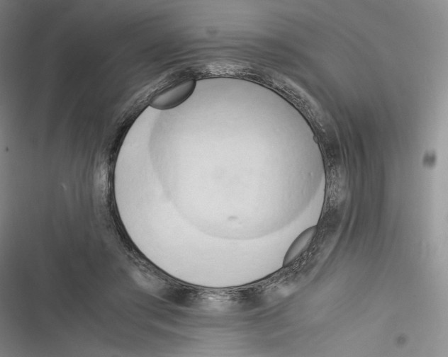 X0000116260405201001110958