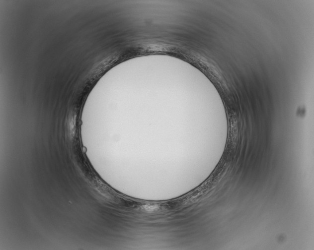 X0000116260406201001110958