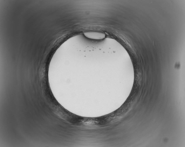 X0000116260407201001110958