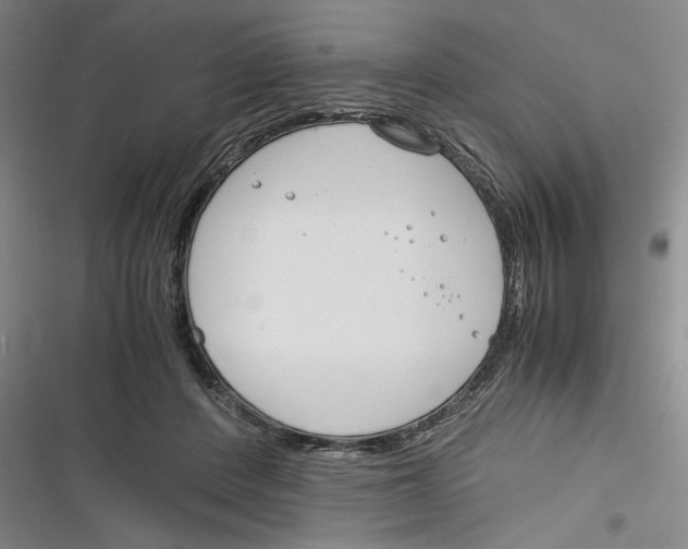 X0000116260408201001110958
