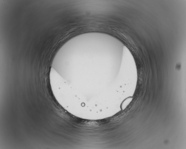 X0000116260409201001110957