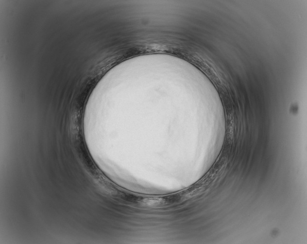 X0000116260410201001110957