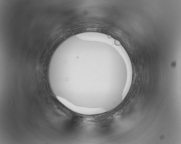 X0000116260411201001110957