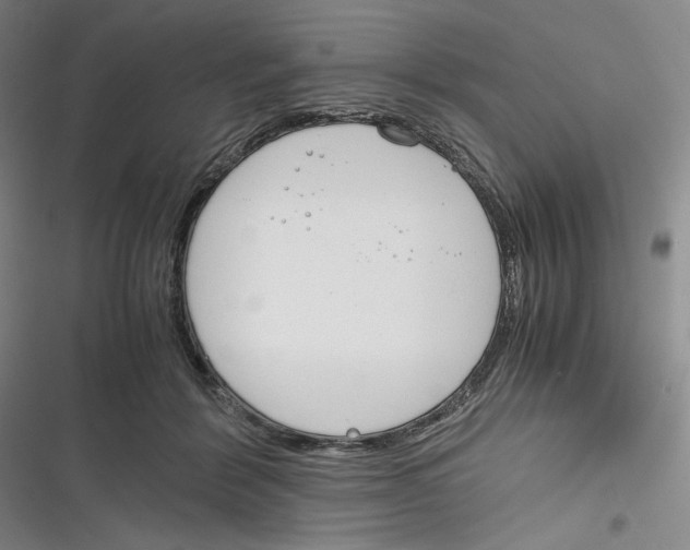 X0000116260412201001110957