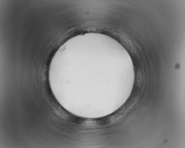X0000116260413201001110957
