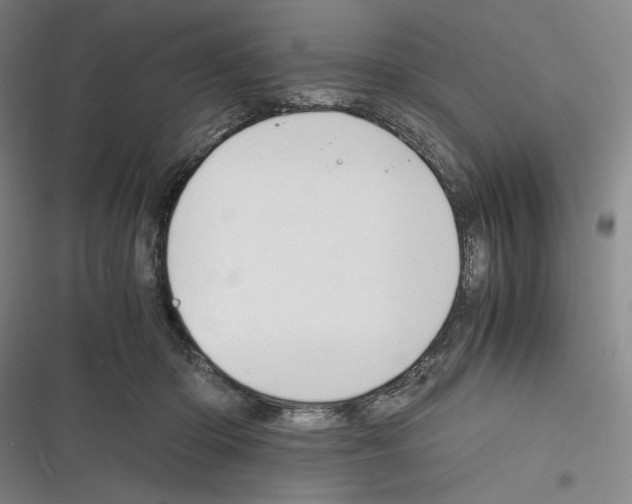 X0000116260414201001110957
