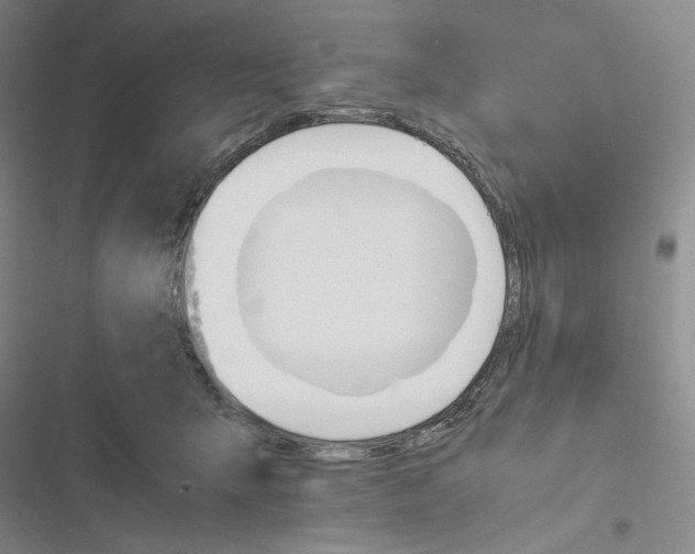 X0000116260415201001110957
