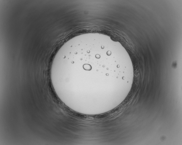 X0000116260416201001110957