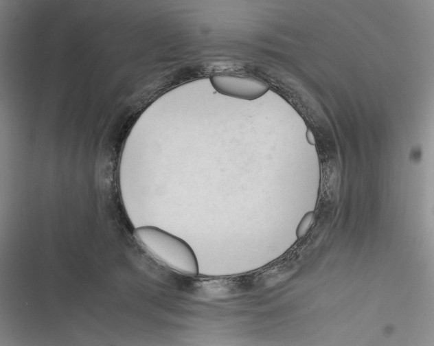 X0000116260417201001110957